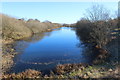 Angling lake, Garn-yr-erw