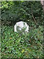 Headstone in the shrubbery