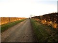 Track  and  bridleway  to  fields