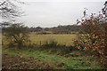 Undeveloped land between Swinton and Eccles