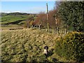 Access land, Bryn Glas