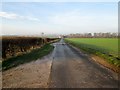 Lane  to  Littlethorpe  Cottages