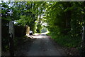 Driveway to Waldershare House