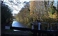 Lock 15 looking towards Aylesbury basin