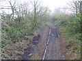 Disused railway at Llangwyllog