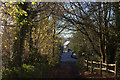 Footpath into Puttenham