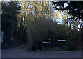 Lascombe Lane and Seale Lane, Puttenham