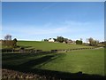 Farmhouse and outbuildings above the Glenvale Road