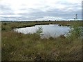 SJ4835 : Pool created by peat extraction, Whixall Moss by Christine Johnstone