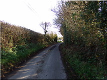 TG0822 : Kerdiston Road, Pettywell by Geographer