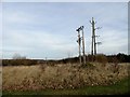 Telephone poles at the roadside