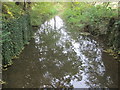 Stream view from a footbridge