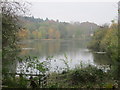 Autumnal lake at Amwell Nature Reserve