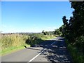 NZ0557 : Lane north of Woodlands Farm by Robert Graham
