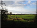 Farm track off Clay Lane