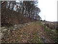 Public footpath heading east on Lewden Hill