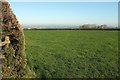 Field near Upcott