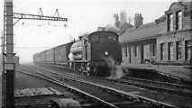 NZ3766 : Westoe Lane station, South Shields, Marsden & Whitburn Colliery Railway on Last Day, 1953 by Walter Dendy, deceased