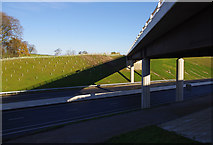 SD4864 : Carus Bridge by Ian Taylor