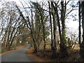 Orltons Lane near Rusper