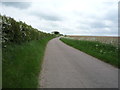 TL5954 : Minor road towards Weston Colville by JThomas