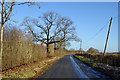 Lane towards Tingewick