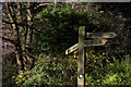 Signpost at Binton Wood