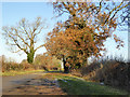 Lane to Wappenham