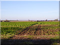 Bridleway to Wappenham