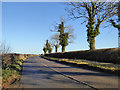 Road from Wappenham to Slapton and Abthorpe