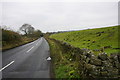 Standing Stone Lane