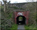 Bridge across the Pensnett Railway Walk