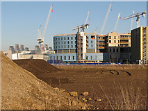 TL4654 : The new Papworth Hospital taking shape by John Sutton