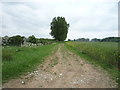 Farm track off National Cycle Route 51