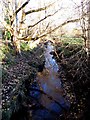 Northfield Brook runs through Spindleberry Nature Reserve