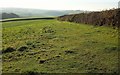 Pasture above Ten Oaks