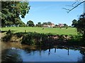 Cattle grazing near Spring House