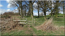 SJ8736 : Path across Tittensor Chase, & Saxons' Howe near Tittensor by Colin Park