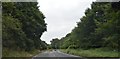 Dual carriageway, A31