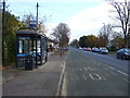 Bus stop and shelter on Binley Road (A428)