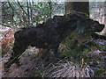 SD3492 : 'Wild Boar Clearing', a sculpture at Grizedale Forest (2) by Karl and Ali