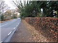 The A281 looking west beside Cisswood House Hotel