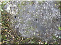 Fferm Moelyci rock cannon (close-up of some of the holes), Tregarth