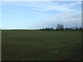 SP4689 : Field off the A5 Roman Road by JThomas