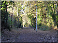 Path along old railway, Daventry