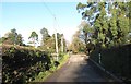 View northwards towards a bend in the Moygannon Road