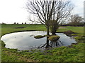 TQ4590 : Pond on Fairlop Waters Golf Course by Marathon