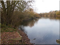 TQ4690 : Fairlop Waters Country Park by Marathon