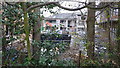 Construction site, viewed through trees