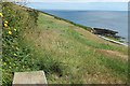 Coast path above Bow Beach